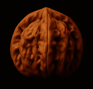 Chicken Heart collectible walnut