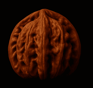 Millstone collectible walnut